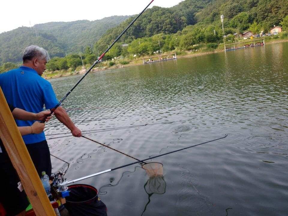 피서 여름낚시 힐링 수곡낚시터 금요일토요일 조황소식 입니다 (유료터정보 - 유료터점주조황)