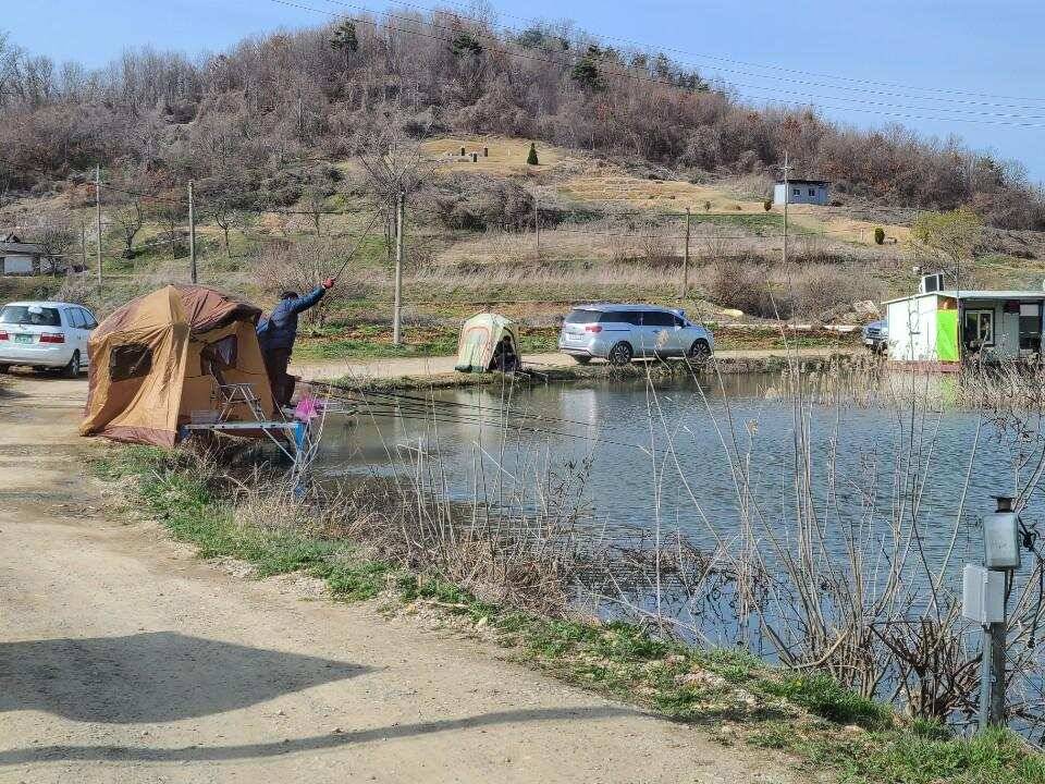 당진 가교리 낚시터 3월 31일 조황입니다 (유료터정보 - 유료터점주조황)