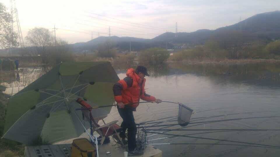 아산 안골지의 맑고 힘찬 붕어입니다 (유료터정보 - 유료터점주조황)