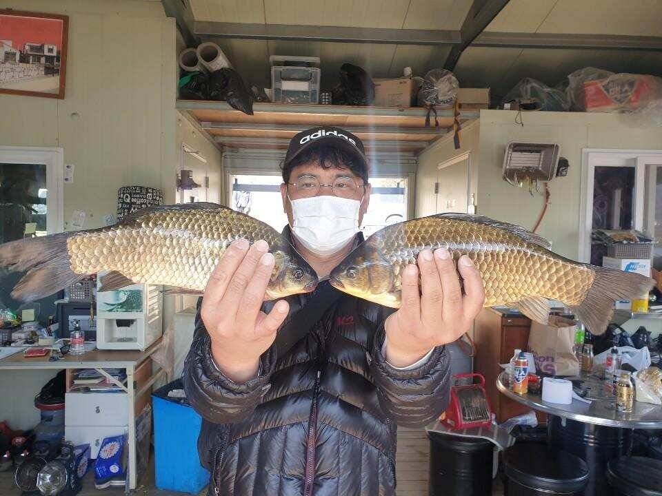 고삼지 상류권 포인트 절정은 언제 (유료터정보 - 유료터점주조황)