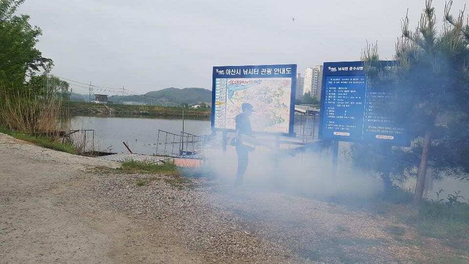 아산 명품 월랑낚시터 5월 두번째 조황 이야기입니다 (유료터정보 - 유료터점주조황)