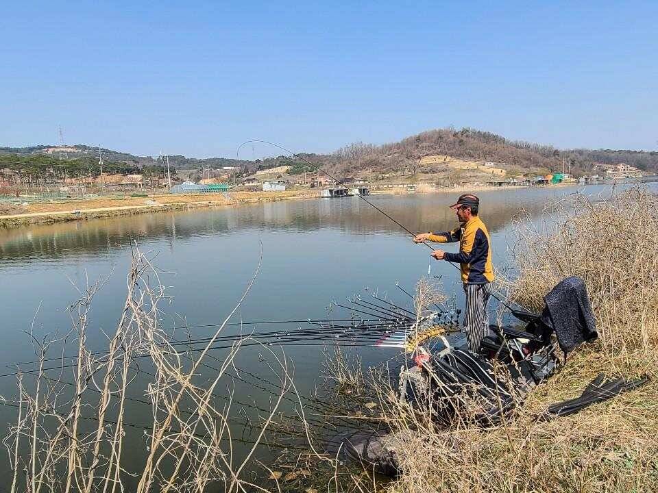 당진 가교리 낚시터 3월 30일 조황입니다 (유료터정보 - 유료터점주조황)