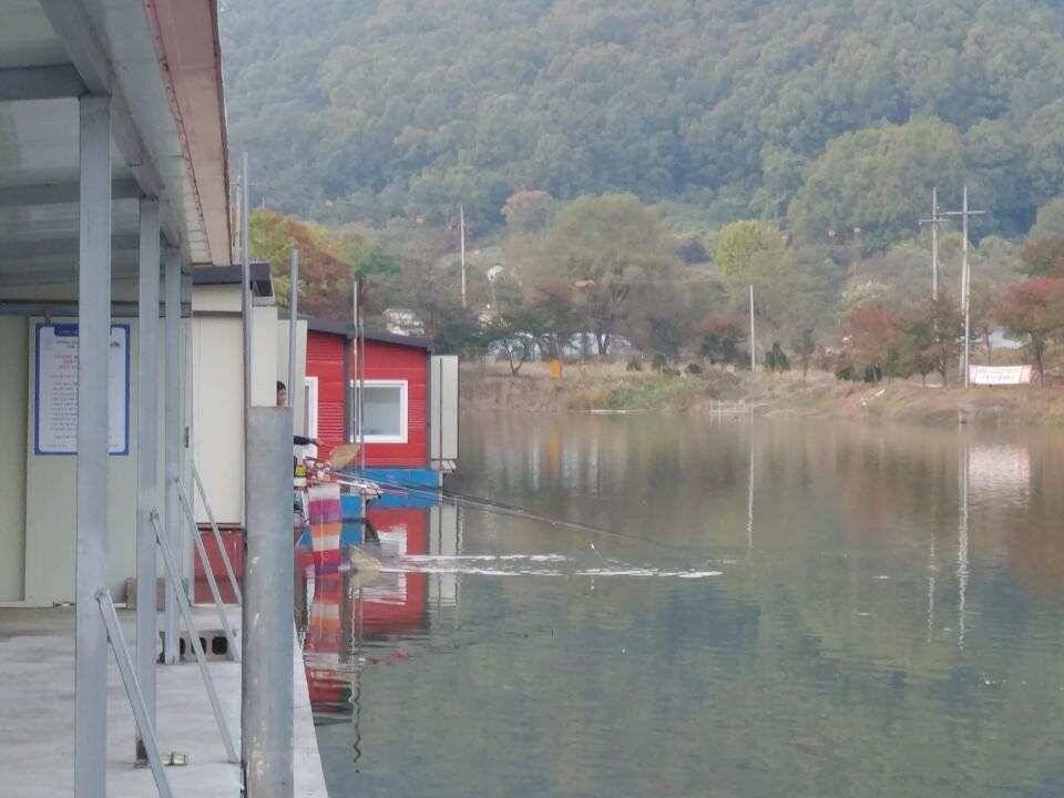 양평 수곡낚시터 붕어낚시 대박조황이 나와주었네요 오늘도 튼실한 붕어 방류 마쳤습니다 (유료터정보 - 유료터점주조황)