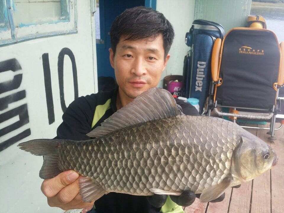 송전지의가을대물붕어들 (유료터정보 - 유료터점주조황)