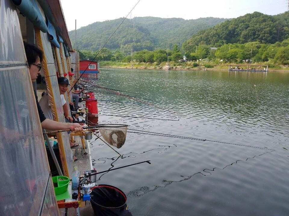 피서 여름낚시 힐링 수곡낚시터 금요일토요일 조황소식 입니다 (유료터정보 - 유료터점주조황)