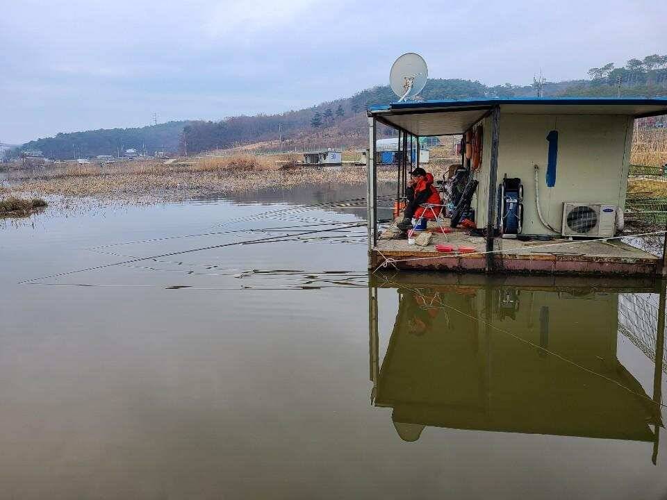 당진 가교리 낚시터 3월 30일 조황입니다 (유료터정보 - 유료터점주조황)