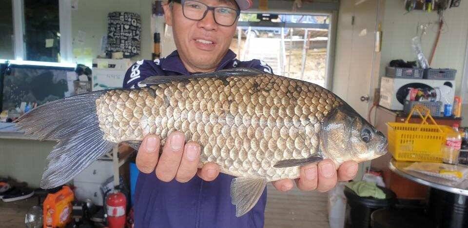 고삼지 얼마남지 않은 최상류권 포인트에 도전하세요 (유료터정보 - 유료터점주조황)
