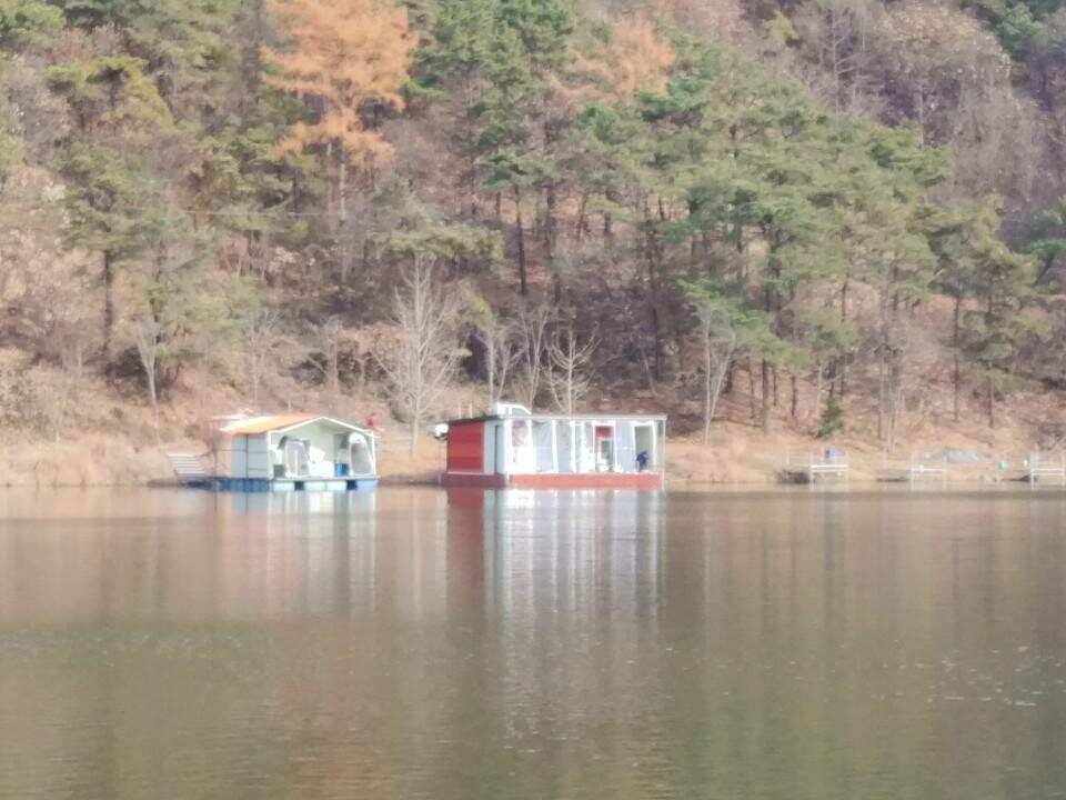 양평 수곡 낚시터 오늘 좀더 좋은 조황이네요 금일 또 토종붕어 방류 완료 (유료터정보 - 유료터점주조황)