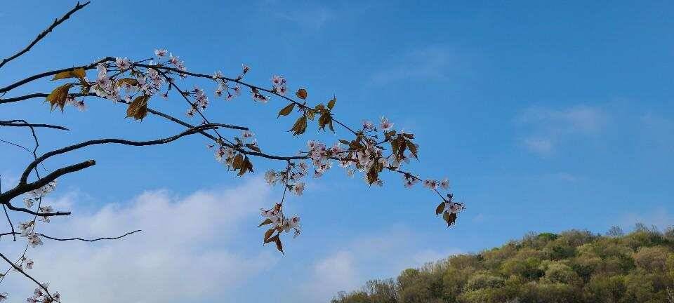 당진 가교리 낚시터 4월 21일 조황입니다 (유료터정보 - 유료터점주조황)