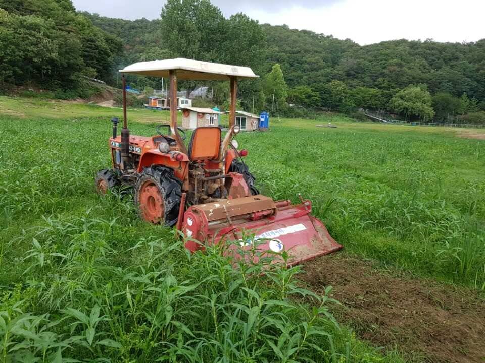 고삼지양촌반가운 비소식과 이어지는 마릿수 조황 그리고 상류 포인트 작업소식입니다 (유료터정보 - 유료터점주조황)
