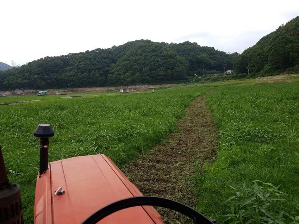 고삼지양촌반가운 비소식과 이어지는 마릿수 조황 그리고 상류 포인트 작업소식입니다 (유료터정보 - 유료터점주조황)
