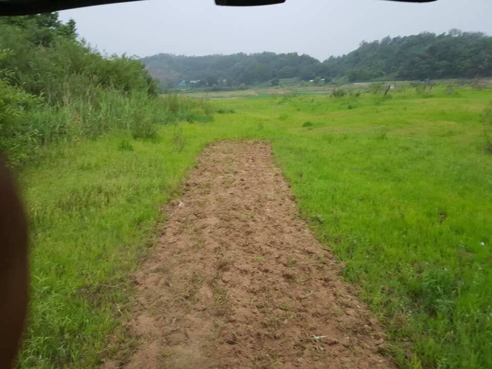고삼지양촌반가운 비소식과 이어지는 마릿수 조황 그리고 상류 포인트 작업소식입니다 (유료터정보 - 유료터점주조황)