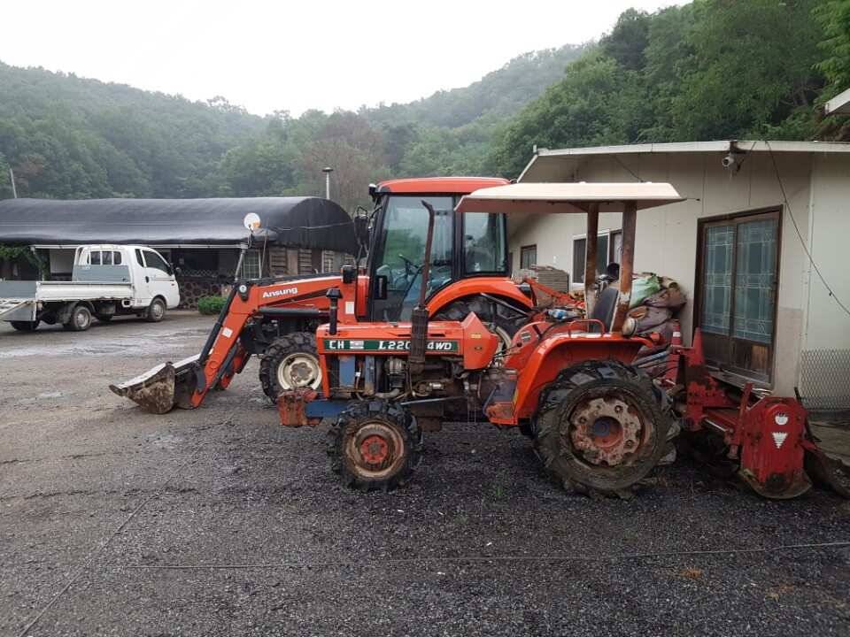 고삼지양촌반가운 비소식과 이어지는 마릿수 조황 그리고 상류 포인트 작업소식입니다 (유료터정보 - 유료터점주조황)