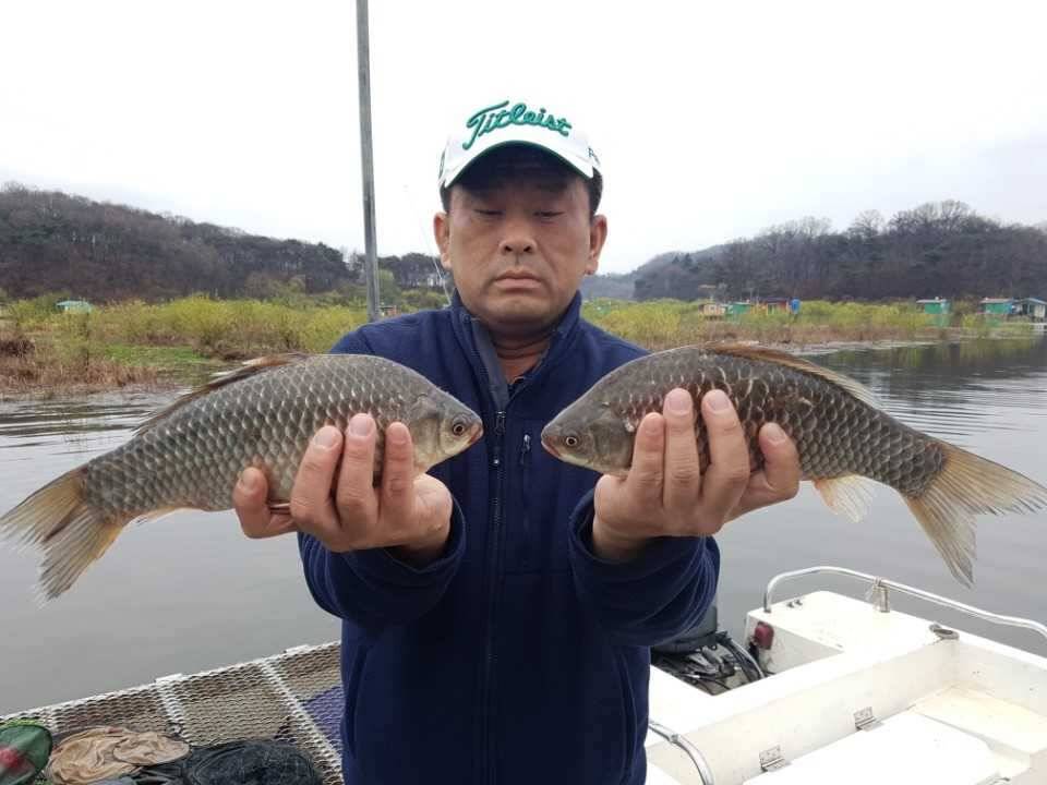 고삼지양촌궁금해하시던 양촌소식 전합니다 (유료터정보 - 유료터점주조황)