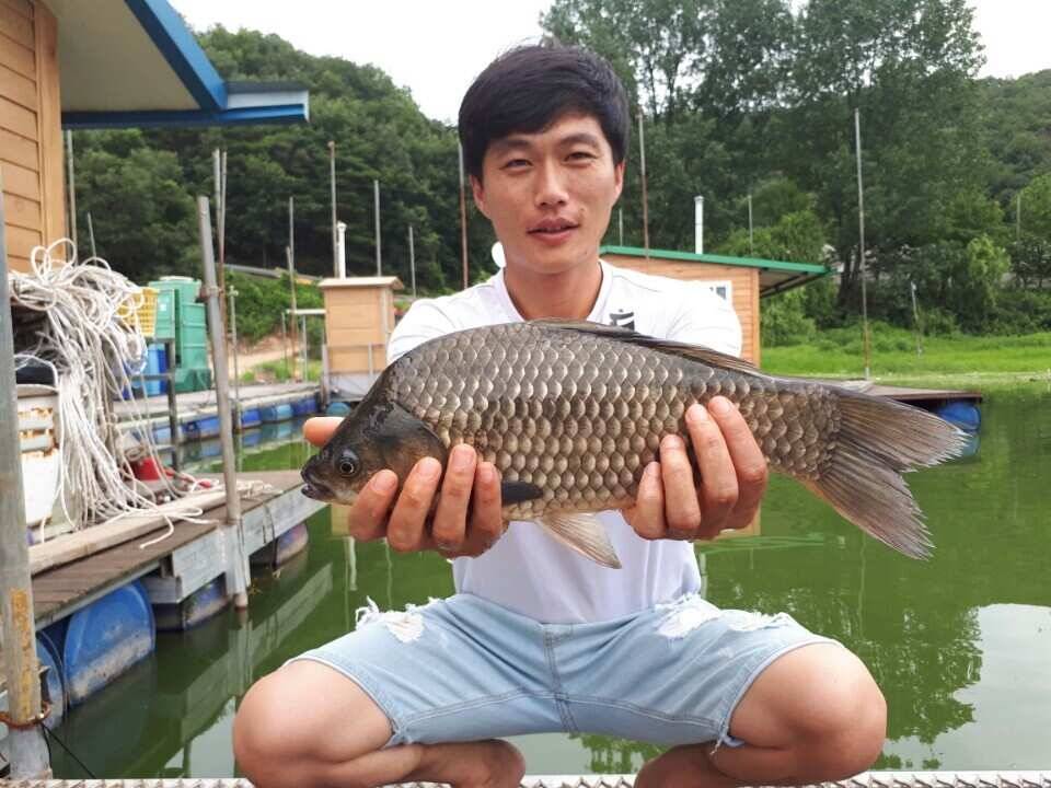 고삼지 양촌 안정된 수위에서 1m2m초반권에서 나온 사짜소식과 마릿수 소식입니다 (유료터정보 - 유료터점주조황)