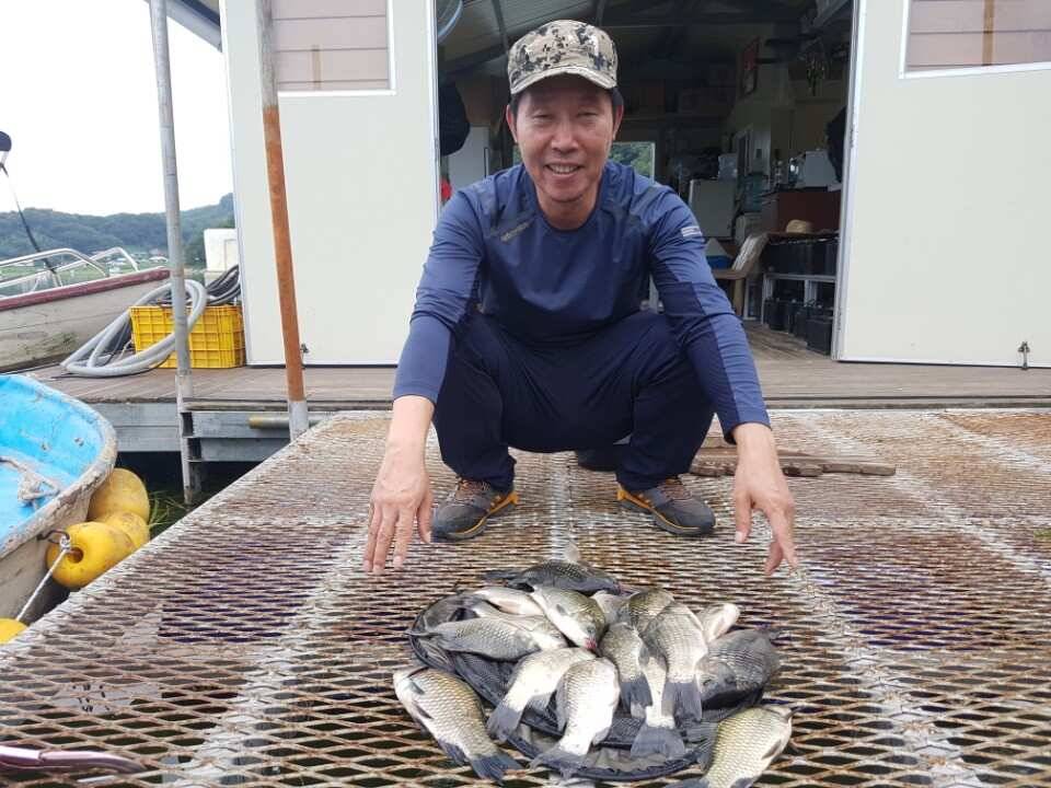 고삼지 양촌 안정된 수위에서 1m2m초반권에서 나온 사짜소식과 마릿수 소식입니다 (유료터정보 - 유료터점주조황)