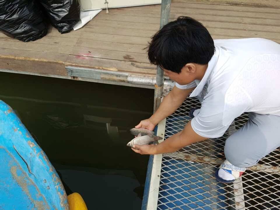 고삼지양촌비소식에 조황이 살아날 조짐입니다 (유료터정보 - 유료터점주조황)