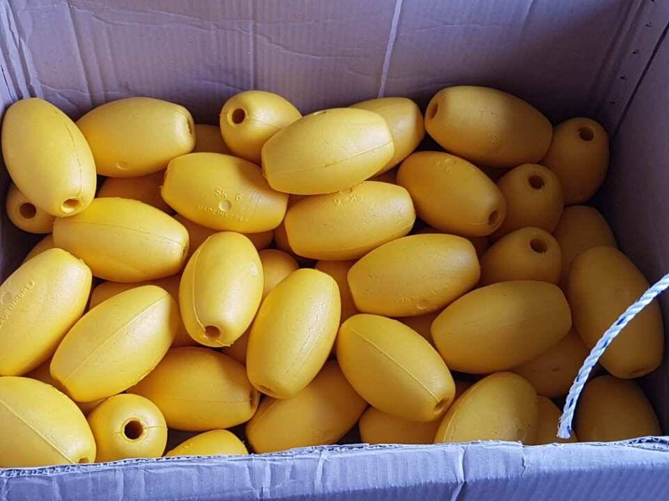 고삼지양촌비소식에 조황이 살아날 조짐입니다 (유료터정보 - 유료터점주조황)