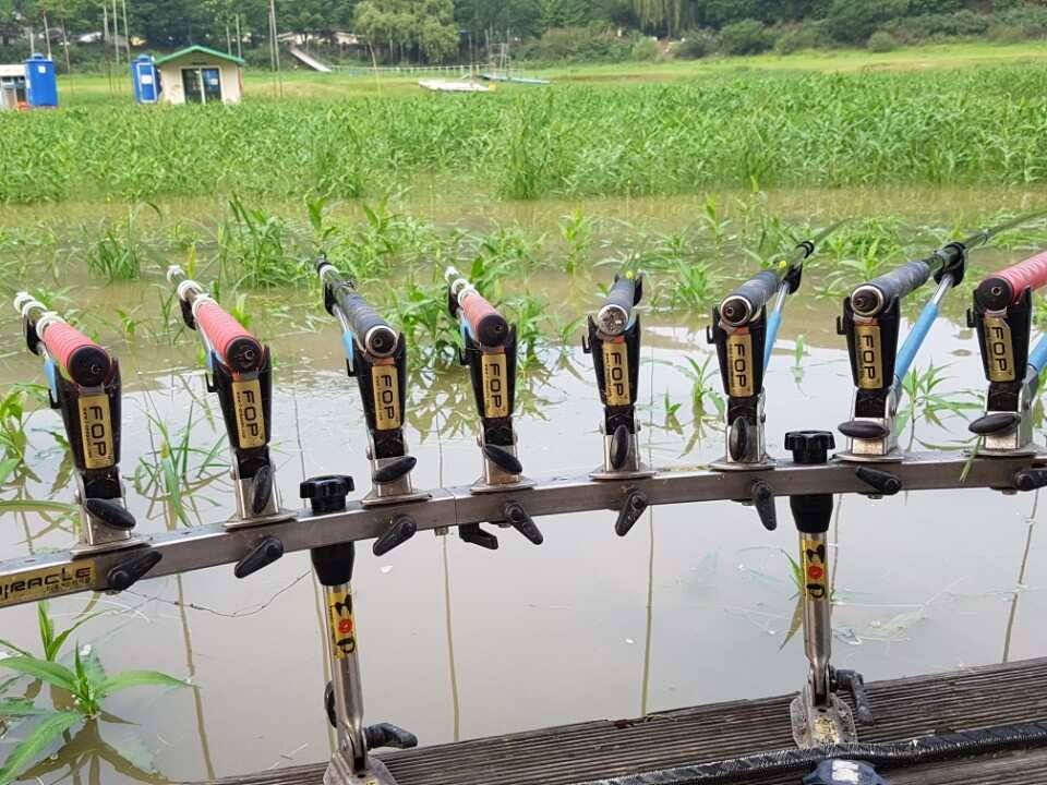 고삼지 양촌지속적으로 수위가 회복되면서 사이즈가 큰 붕어들이 올라와주고 있습니다 (유료터정보 - 유료터점주조황)