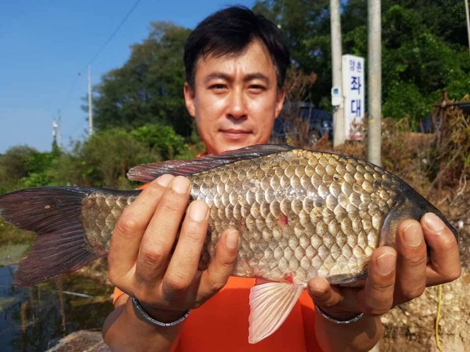 고삼지양촌시원해진 양촌에서 초대박 소식전합니다 (유료터정보 - 유료터점주조황)