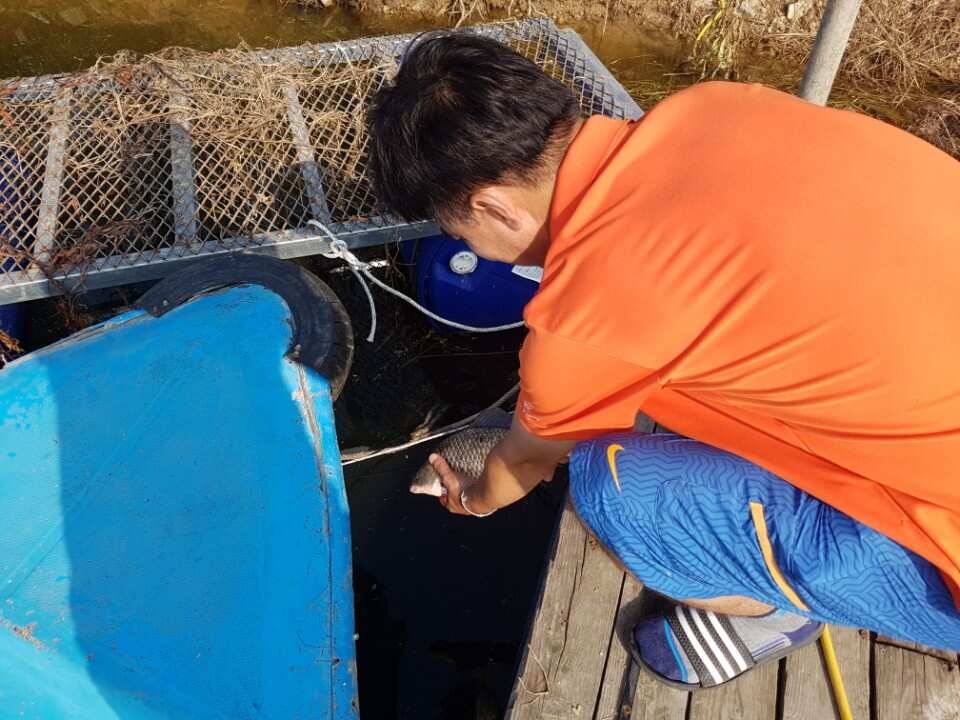 고삼지양촌시원해진 양촌에서 초대박 소식전합니다 (유료터정보 - 유료터점주조황)