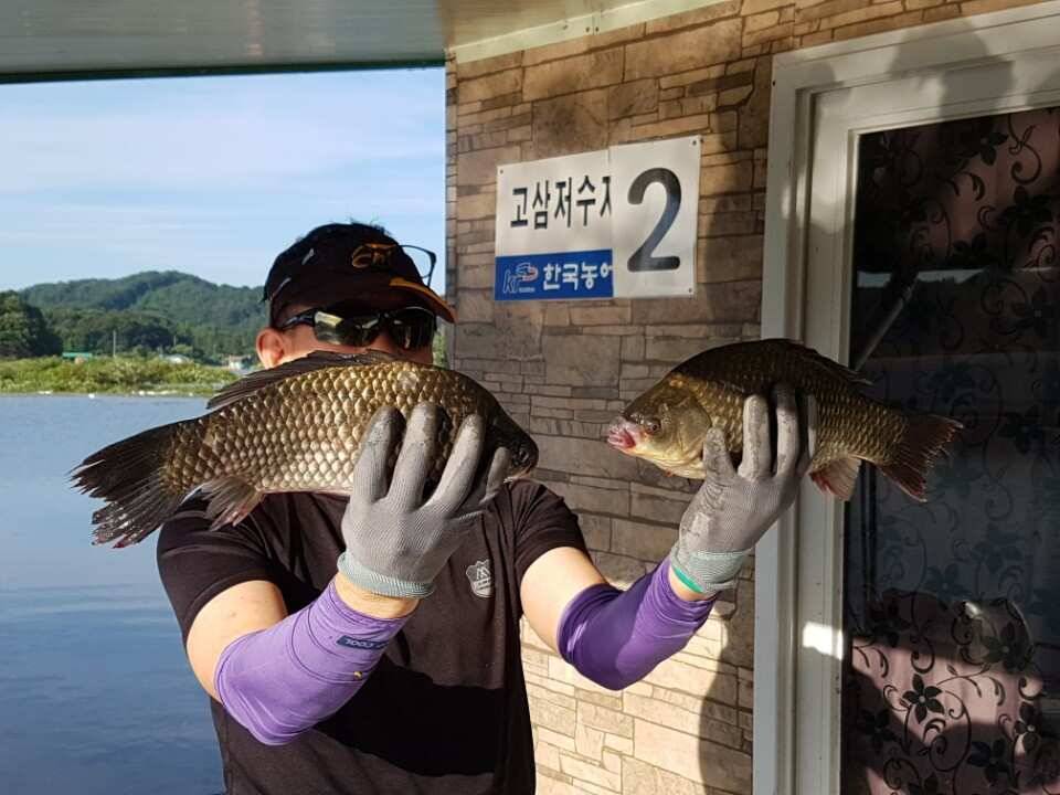 고삼지양촌시원해진 양촌에서 초대박 소식전합니다 (유료터정보 - 유료터점주조황)