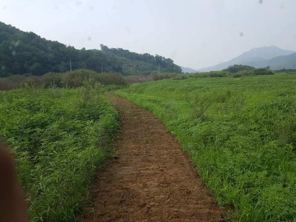 고삼지양촌시원해진 양촌에서 초대박 소식전합니다 (유료터정보 - 유료터점주조황)