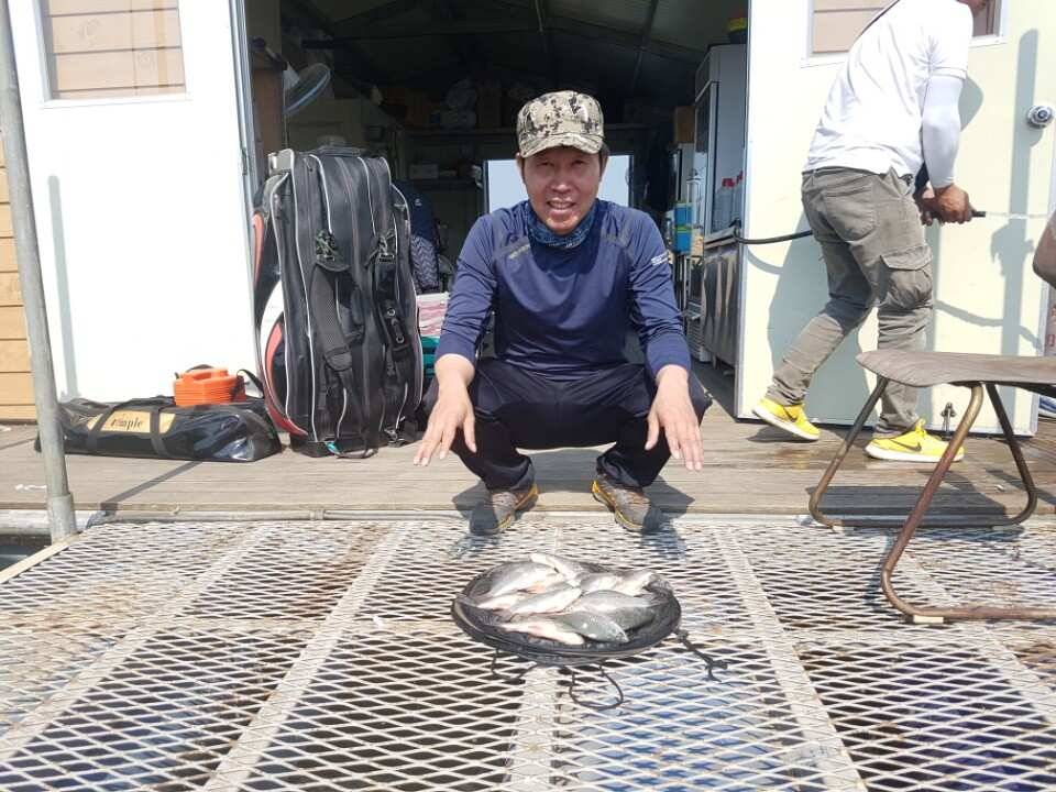 고삼지양촌안정된 수위속에 마릿수 조과를 보여주고 있습니다 (유료터정보 - 유료터점주조황)