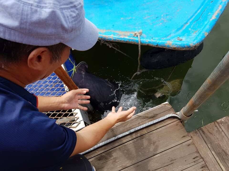 고삼지양촌양촌에서 살림망을 터트려보세요 터지고 있습니다 (유료터정보 - 유료터점주조황)