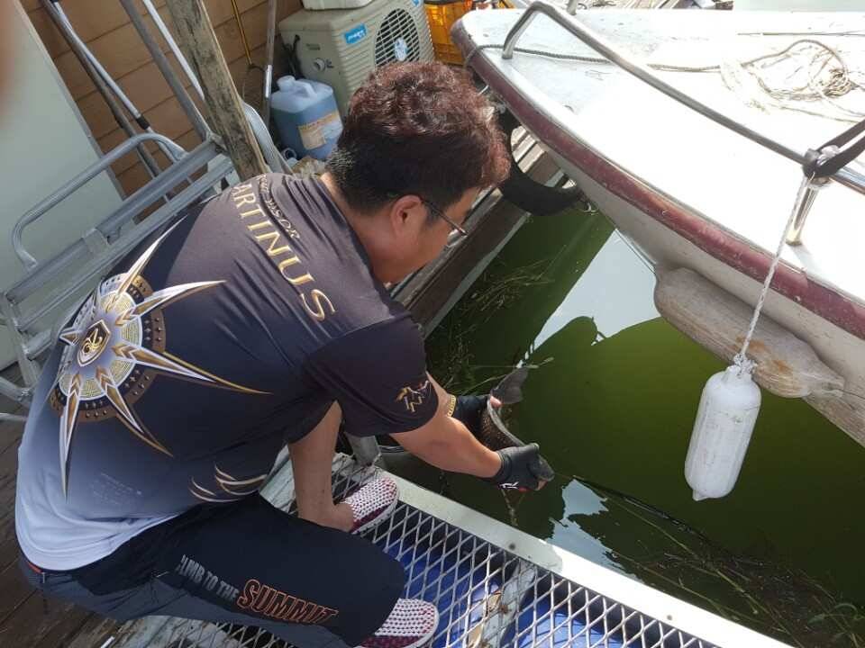 고삼지양촌흥분되는 조과를 보여주고 있는 양촌입니다 (유료터정보 - 유료터점주조황)