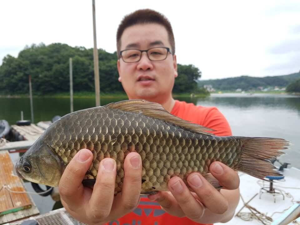 고삼지양촌흥분되는 조과를 보여주고 있는 양촌입니다 (유료터정보 - 유료터점주조황)