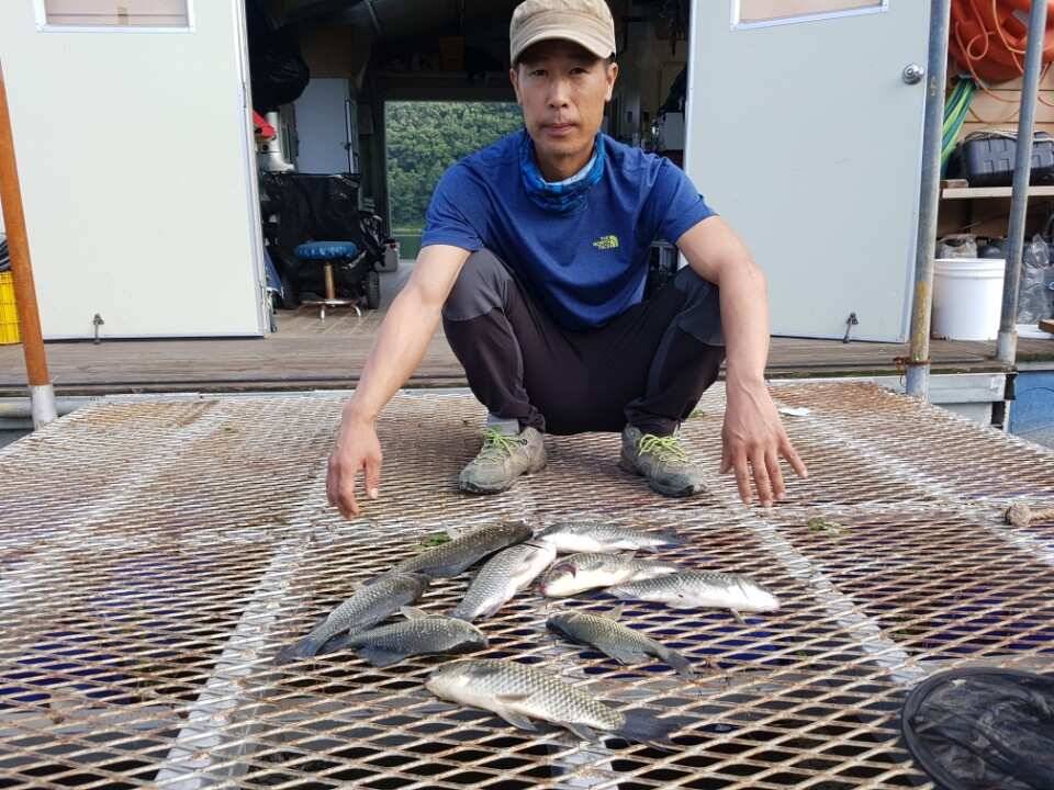 고삼지양촌흥분되는 조과를 보여주고 있는 양촌입니다 (유료터정보 - 유료터점주조황)