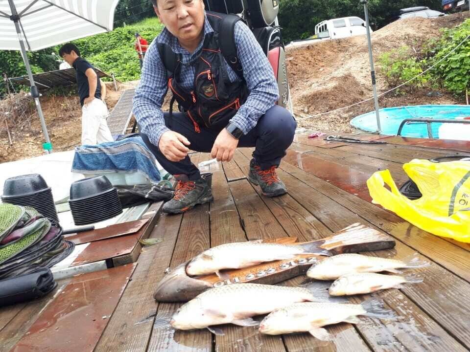고삼지양촌내리는 비속의 양촌 대물조황입니다 (유료터정보 - 유료터점주조황)