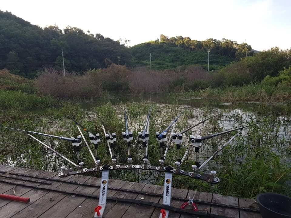 고삼지 양촌 유일무이한 4짜터 증명 마릿수 포텐터짐 (유료터정보 - 유료터점주조황)