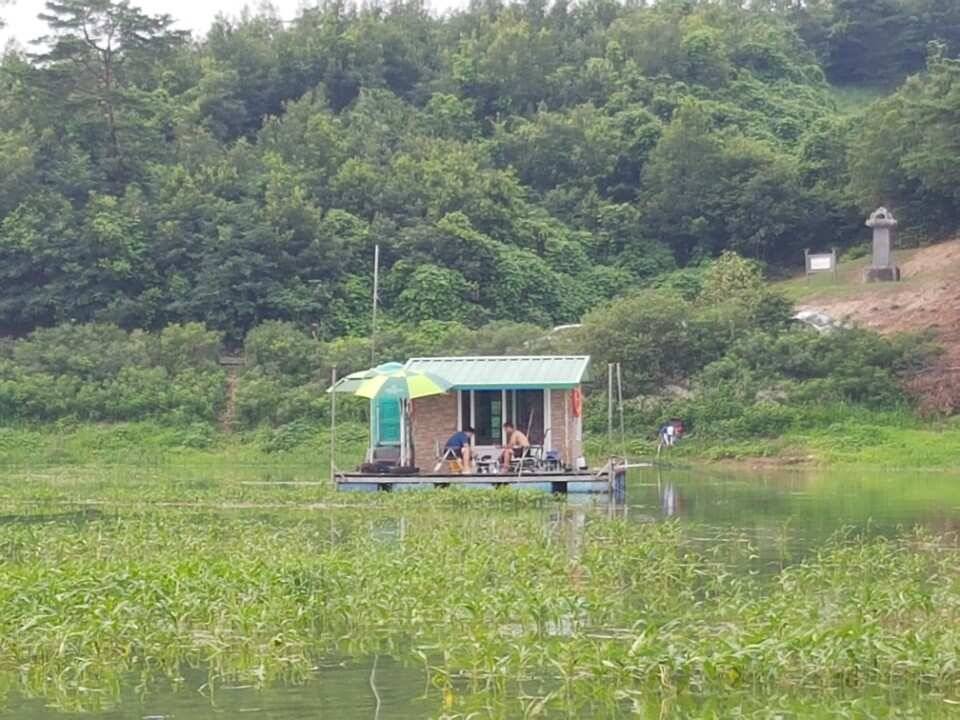 고삼지양촌고삼지 최고의 포인트 양촌에서 4짜 소식과 마릿 수 소식 전합니다 (유료터정보 - 유료터점주조황)
