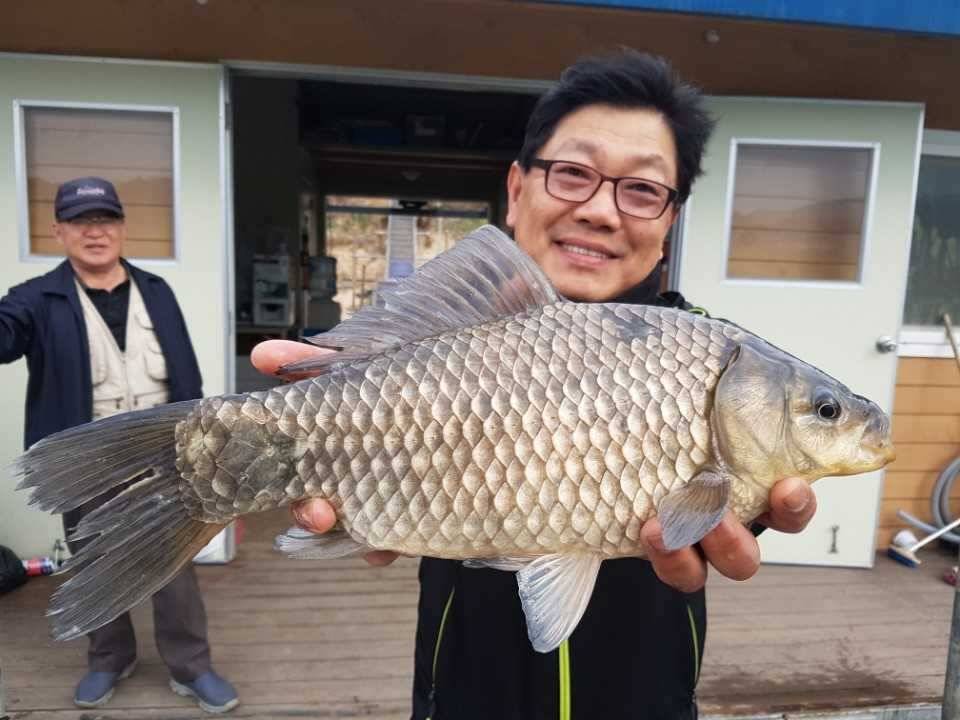고삼지양촌양촌에서 4짜소식 전해드립니다 (유료터정보 - 유료터점주조황)