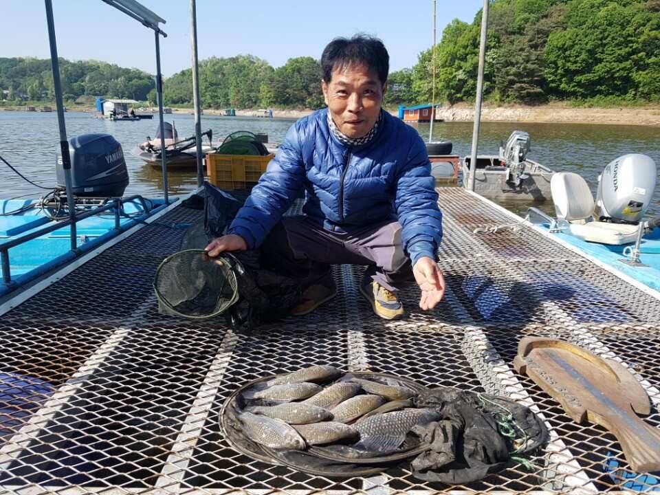 고삼지양촌배수가 진행되는 상황에서 마릿수 조황을 올립니다 (유료터정보 - 유료터점주조황)