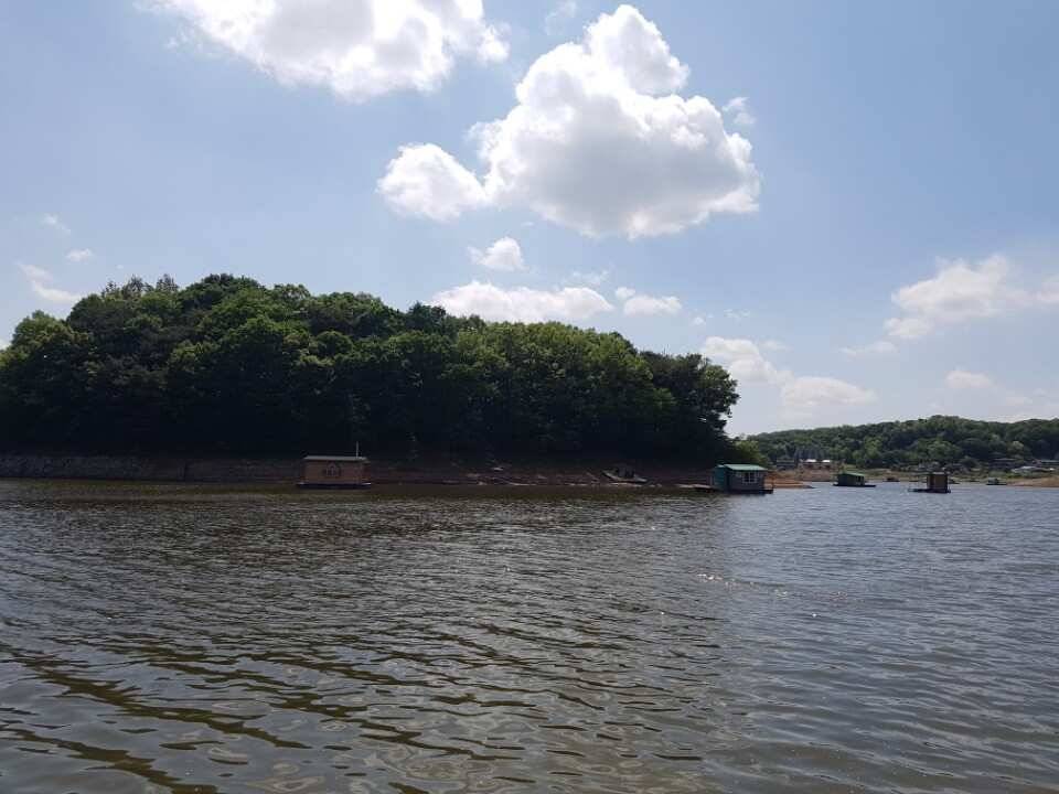 고삼지양촌배수가 진행되는 상황에서 마릿수 조황을 올립니다 (유료터정보 - 유료터점주조황)