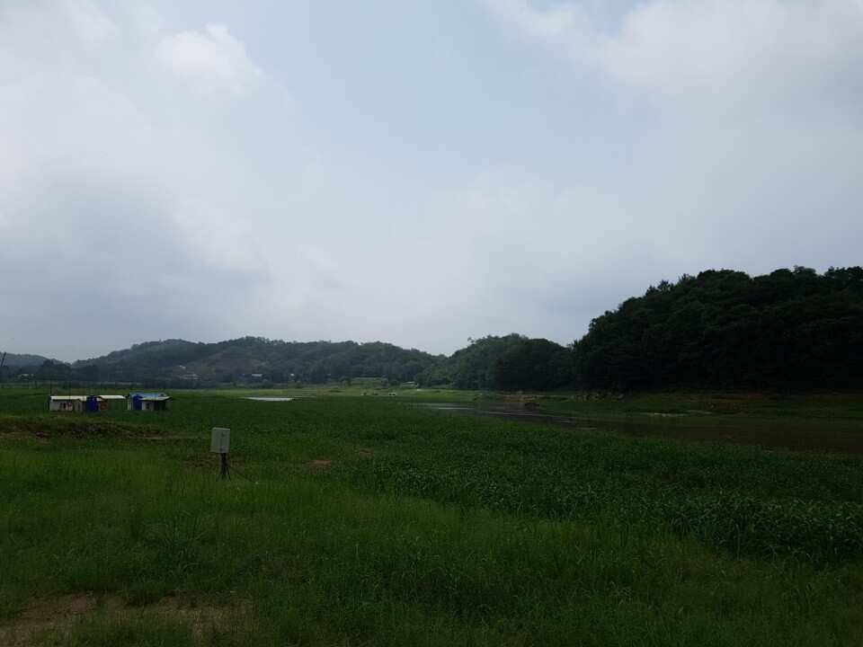 고삼지양촌오름수위에 기대가 충만합니다 (유료터정보 - 유료터점주조황)