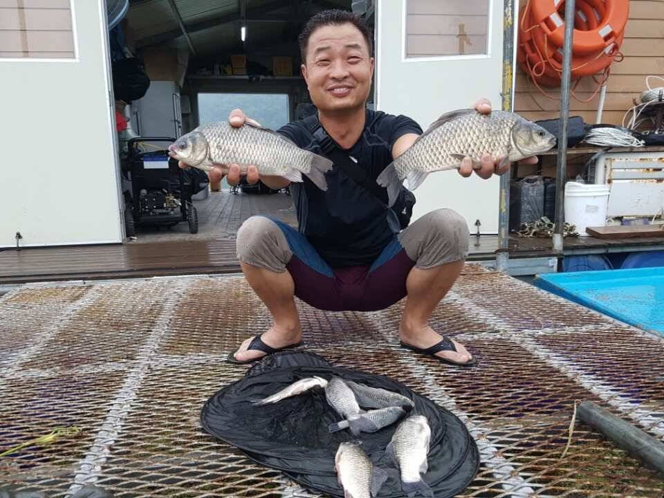 고삼지양촌4짜와 마릿수 조과 갈수기에 포인트 정리해 놓은 곳들이 빛이 나고 있습니다 (유료터정보 - 유료터점주조황)