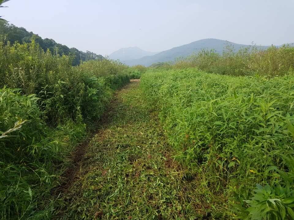 고삼지양촌4짜와 마릿수 조과 갈수기에 포인트 정리해 놓은 곳들이 빛이 나고 있습니다 (유료터정보 - 유료터점주조황)
