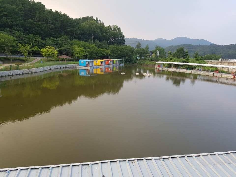 안성금광호수낚시터 물이만수후 많이안정되었습니다 (유료터정보 - 유료터점주조황)