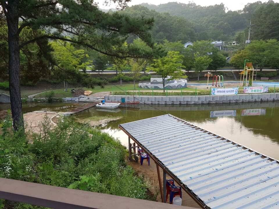 안성금광호수낚시터 물이만수후 많이안정되었습니다 (유료터정보 - 유료터점주조황)