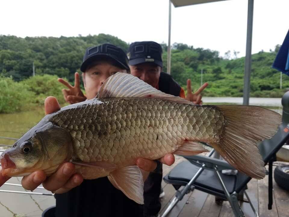 고삼지양촌 4짜가 하루가 멀다하고 나오는 상황입니다 (유료터정보 - 유료터점주조황)