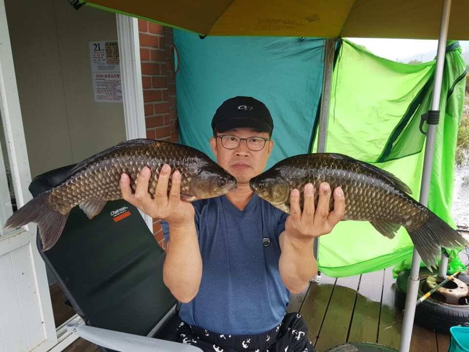 45cm 대박조황 토종을 비롯한 4짜 대물이 연일 출몰하는 양촌 소식입니다 (유료터정보 - 유료터점주조황)