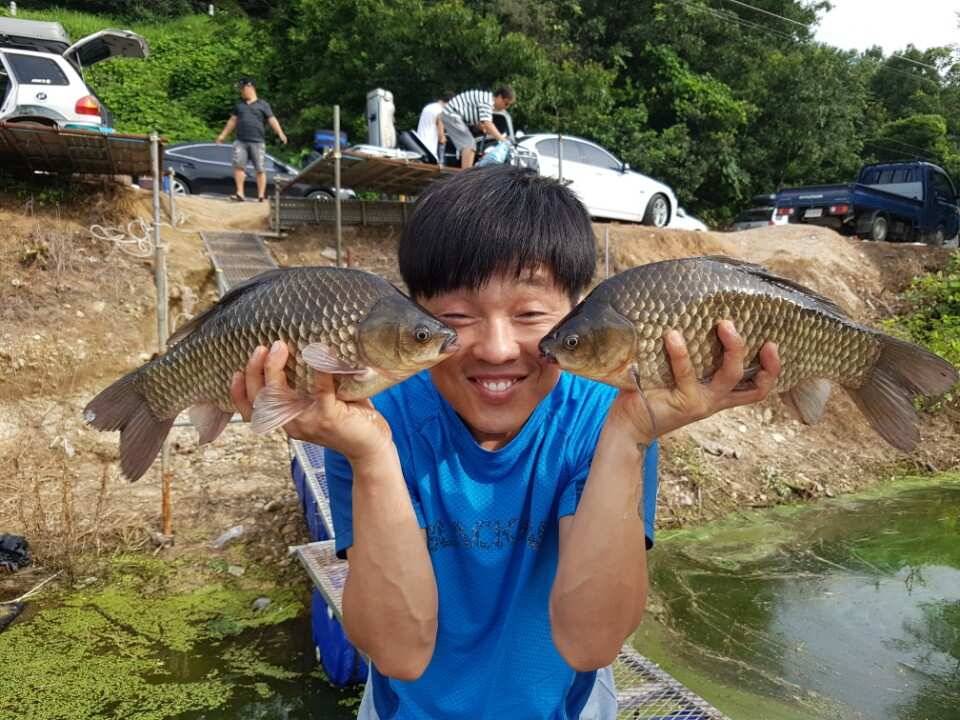 45cm 대박조황 토종을 비롯한 4짜 대물이 연일 출몰하는 양촌 소식입니다 (유료터정보 - 유료터점주조황)