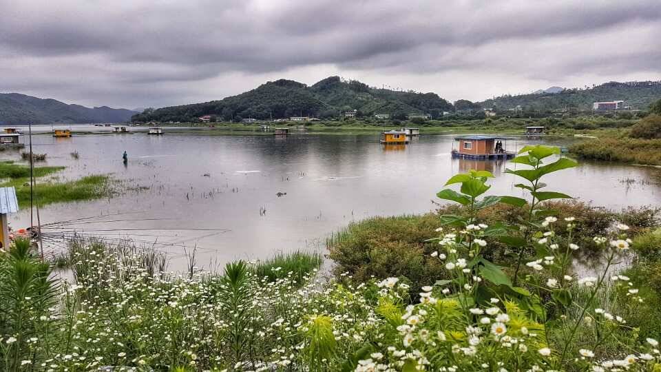 사짜와 마리수 대박 이어지고 있음 (유료터정보 - 유료터점주조황)