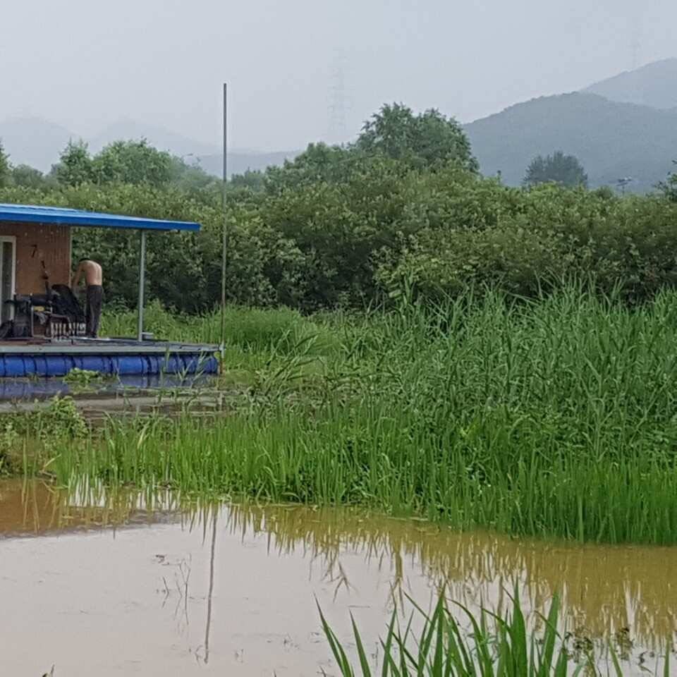 사짜와 마리수 대박 이어지고 있음 (유료터정보 - 유료터점주조황)