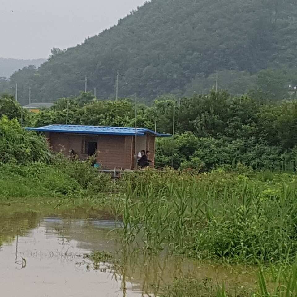사짜와 마리수 대박 이어지고 있음 (유료터정보 - 유료터점주조황)