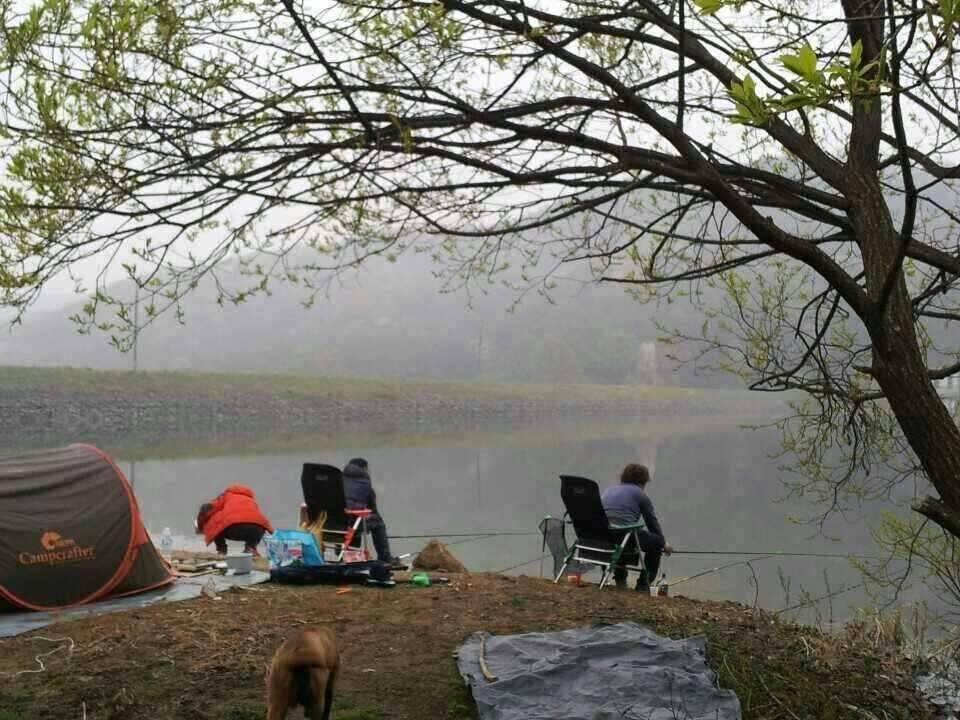 안성죽산장계지 (유료터정보 - 유료터점주조황)